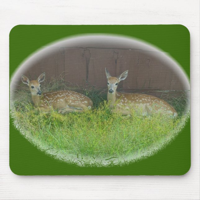 O cervo Branco-Atado Fawns Mousepad (Frente)