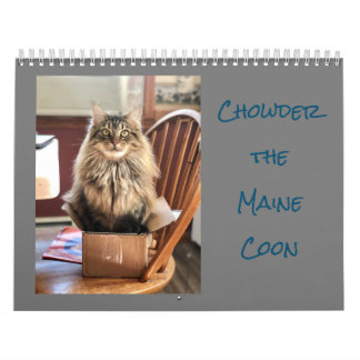 O Chowder do Calendário do Maine Coon