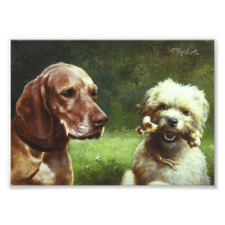 O cínico e a foto do filósofo