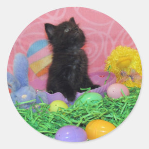 O Coelho de Páscoa Já Chegou - Adesivo de Gato / G