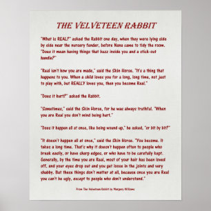 O coelho do Velveteen - que é real? - Poster