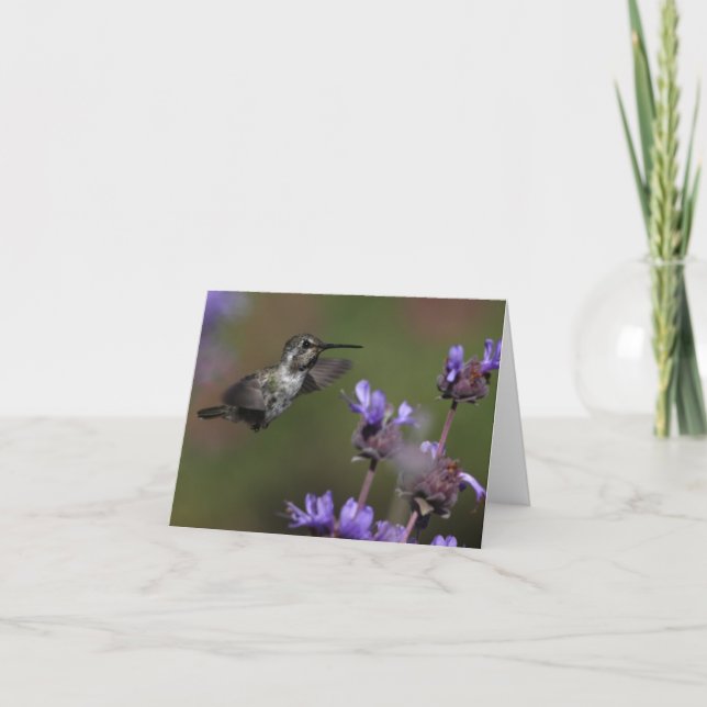 O colibri da costela - Joe Sweeney - cartão (Frente)