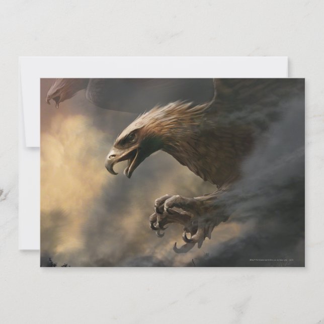 O conceito das águias-Excelentes (Frente)