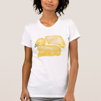 O CRISTO É AUMENTADO, t-shirt engraçado do
