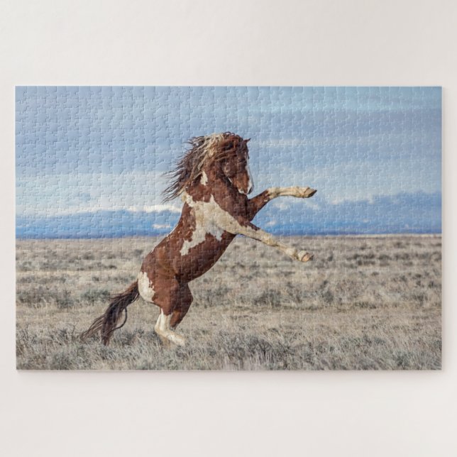 "O Desafio" Quebra-cabeça de Jigsen (Horizontal)