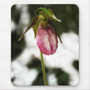 O deslizador de senhora #8299 Mousepad