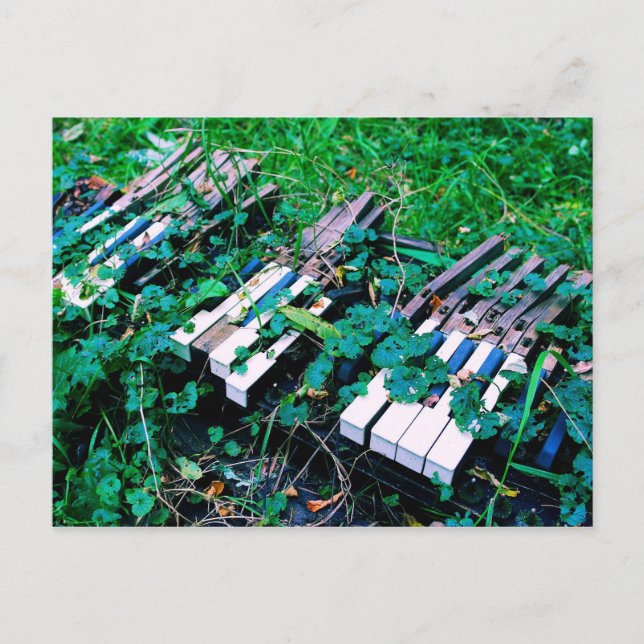 "O Dia em que a Música Morreu" - Piano - Cartão Po (Frente)