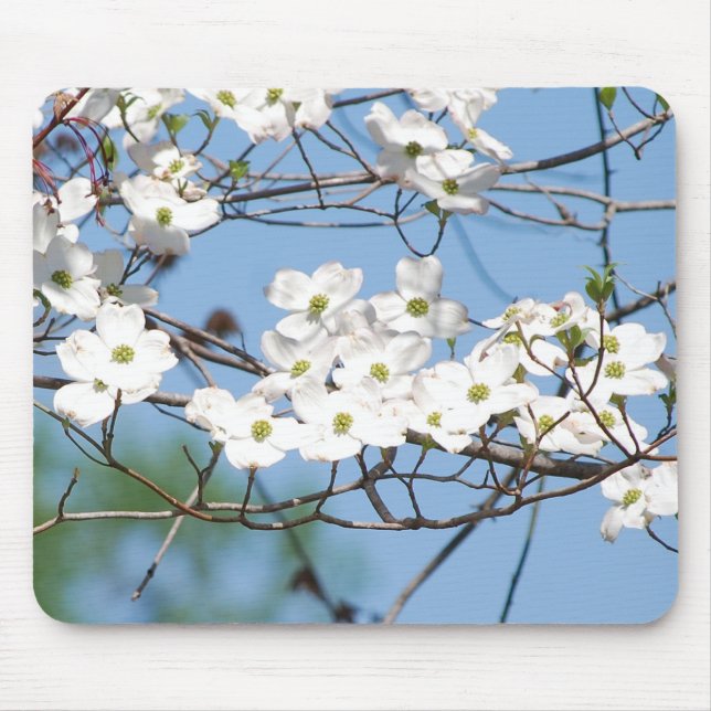 O Dogwood branco floresce o mousepad (Frente)