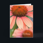 O Echinacea do pêssego floresce o cartão<br><div class="desc">Flores do Echinacea do pêssego</div>