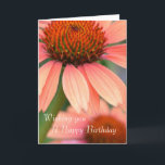 O Echinacea do pêssego floresce o cartão<br><div class="desc">Flores do Echinacea do pêssego</div>