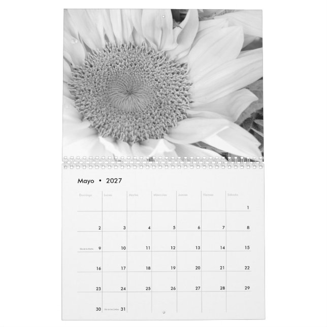 O en do fotografía do engodo de Calendario blanco (Maio 2027)