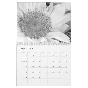 O en do fotografía do engodo de Calendario blanco