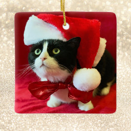O enfeites de natal alcança o gato Tuxedo
