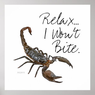 O escorpião "relaxa… Eu não morderei o" poster