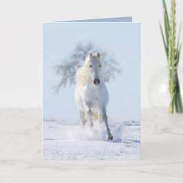 O Estalão de Neve e o Cartão de Saudação de Cavalo