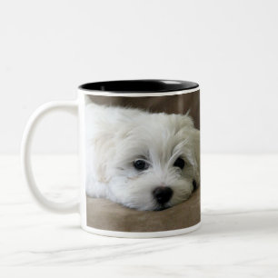 O filhote de cachorro Eyes a caneca feita sob