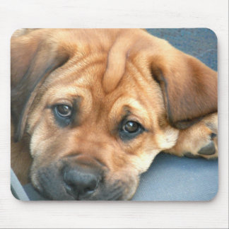O filhote de cachorro Eyes Mousepad