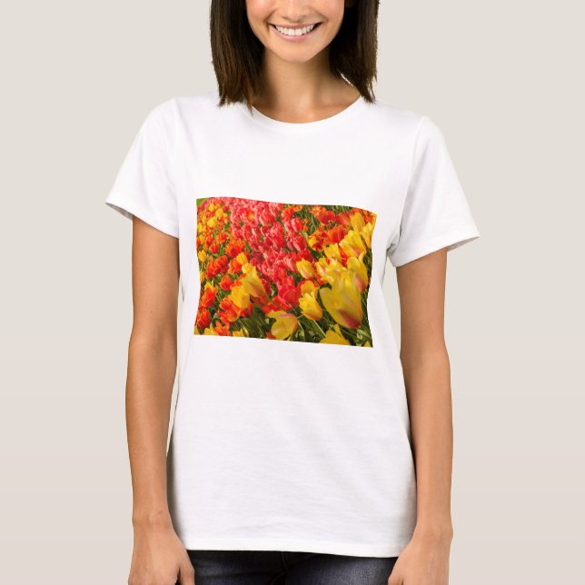 O FLORESCIMENTO DE TULIPAS  EM UMA CAMISA DE PARQU (Frente)
