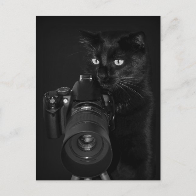 O fotógrafo - cartão postal (Frente)