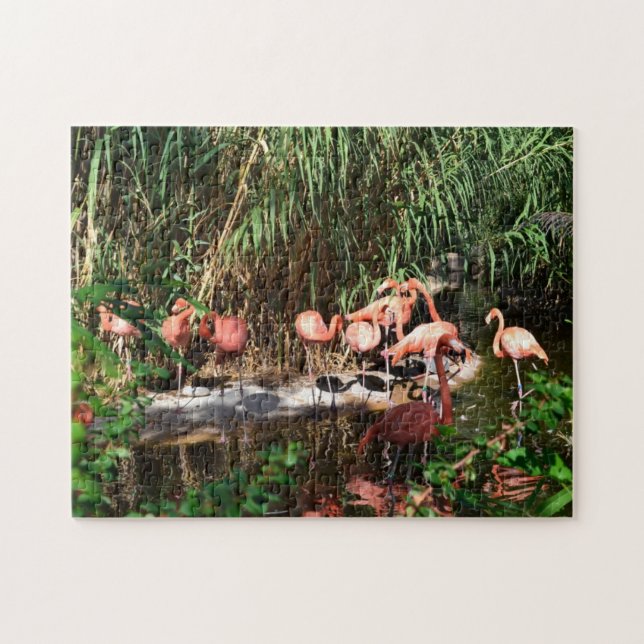 O gabarito dos flamingos viu o quebra-cabeça (Horizontal)