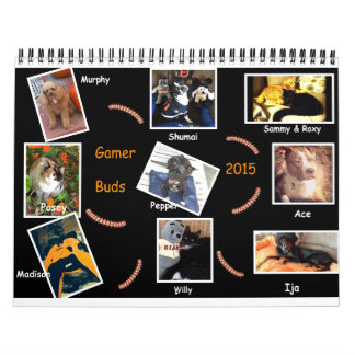 O Gamer brota o calendário 2015