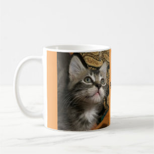 O gatinho "mantem-se olhar acima!" Caneca