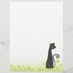 O gato