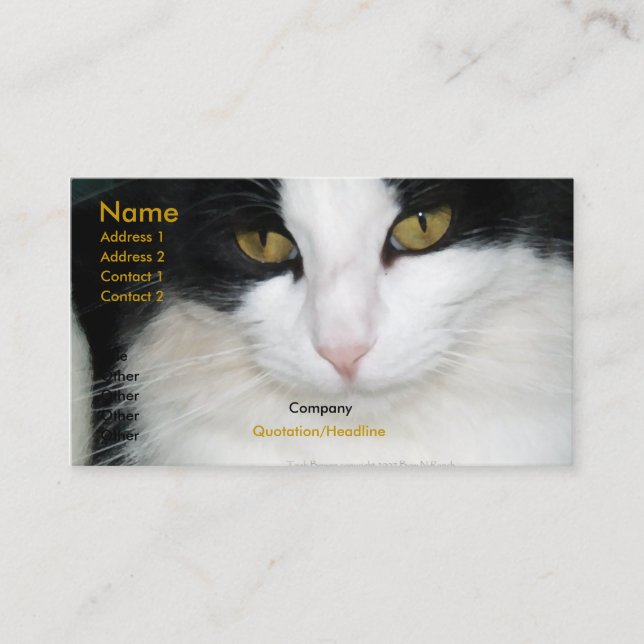O gato com ouro Eyes o cartão de visita (Frente)