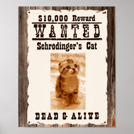 O gato de Schrodinger queria poster
