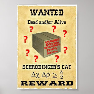 O gato de Schrodinger quis o poster
