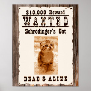 O gato de Schrodinger quis o poster