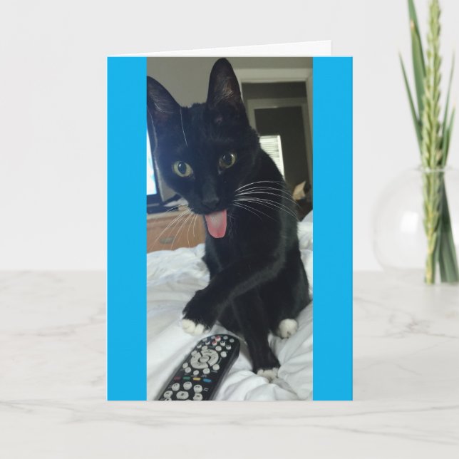 o gato engraçado dos cartões de agradecimentos (Frente)