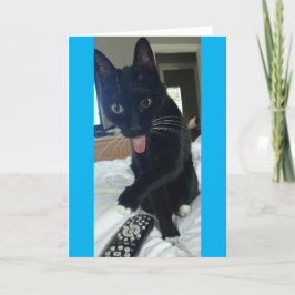 o gato engraçado dos cartões de agradecimentos