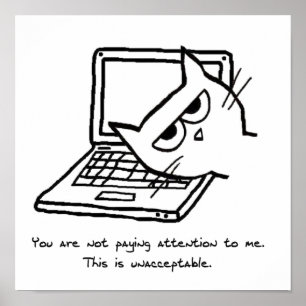 O gato irritado exige a atenção - poster engraç