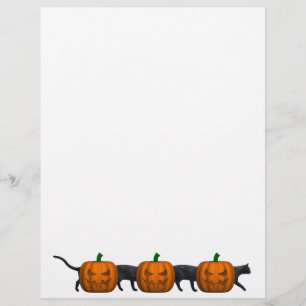 O Gato Mais Longo do Mundo