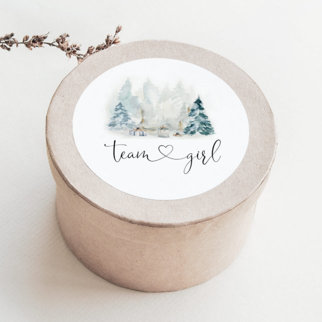 O gênero da floresta de inverno revela autocolante (Criador carregado)