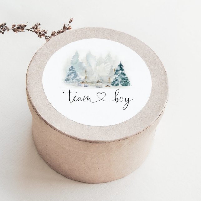 O gênero da floresta de inverno revela autocolante (Criador carregado)