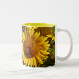 O girassol floresce a caneca floral do jardim