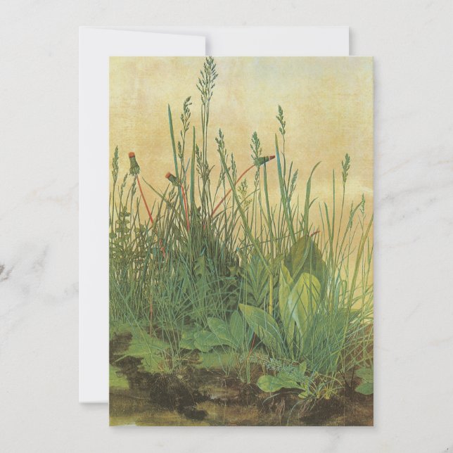 O Grande (Excelente) Peça de Turfe de Albrecht Dur (Frente)