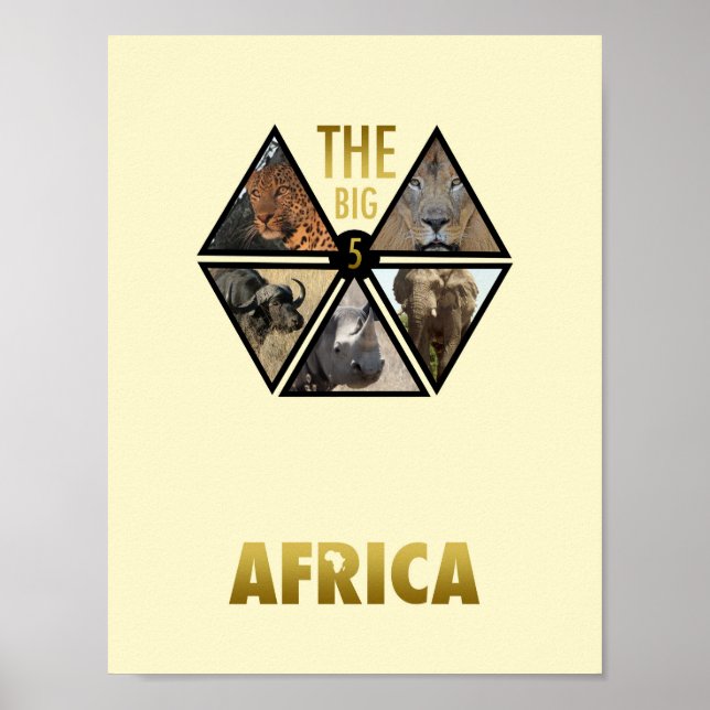 O grande Poster de 11" x 8,5" para a África (Frente)