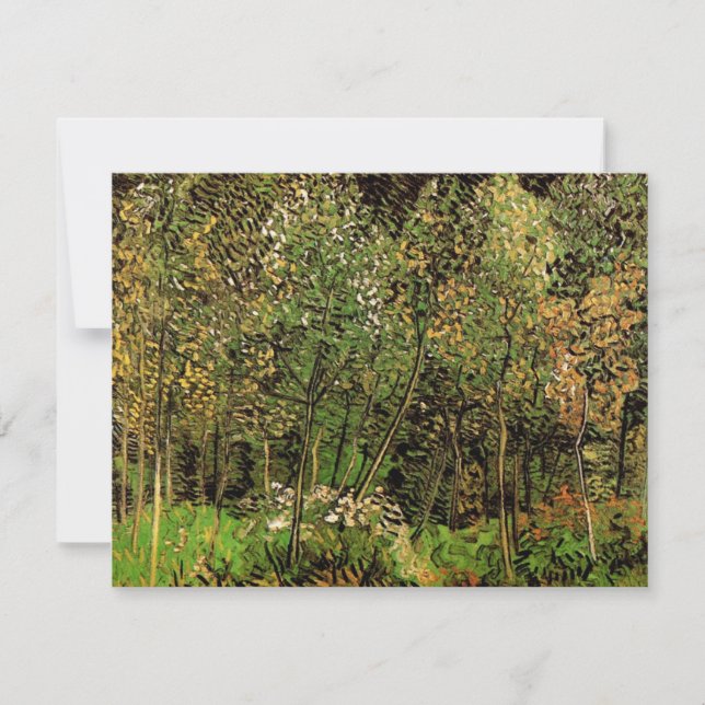 O Grove de Vincent van Gogh (Frente)