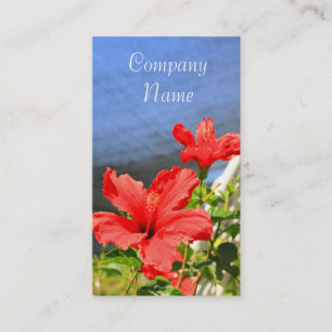 O hibiscus vermelho floresce cartões de visitas