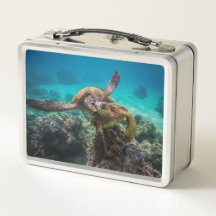 O Honu Lunchbox