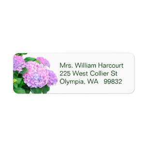 O Hydrangea cor-de-rosa floresce a etiqueta de