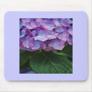 O Hydrangea floresce Mousepad