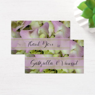 O Hydrangea quase cor-de-rosa floresce Tag do