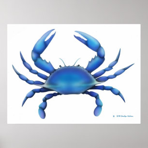 O impressão do caranguejo azul