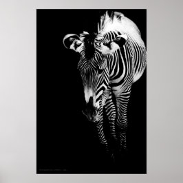 O Impressão Imperial