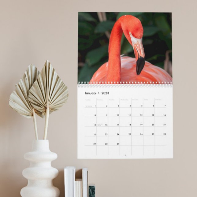 O Incrível Calendário Flamingo Escolhe Ano (Criador carregado)