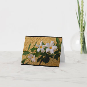 O italiano floresce o cartão de nota